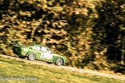 46.-nibelungenring-rallye-2013-rallyelive.com-9762.jpg